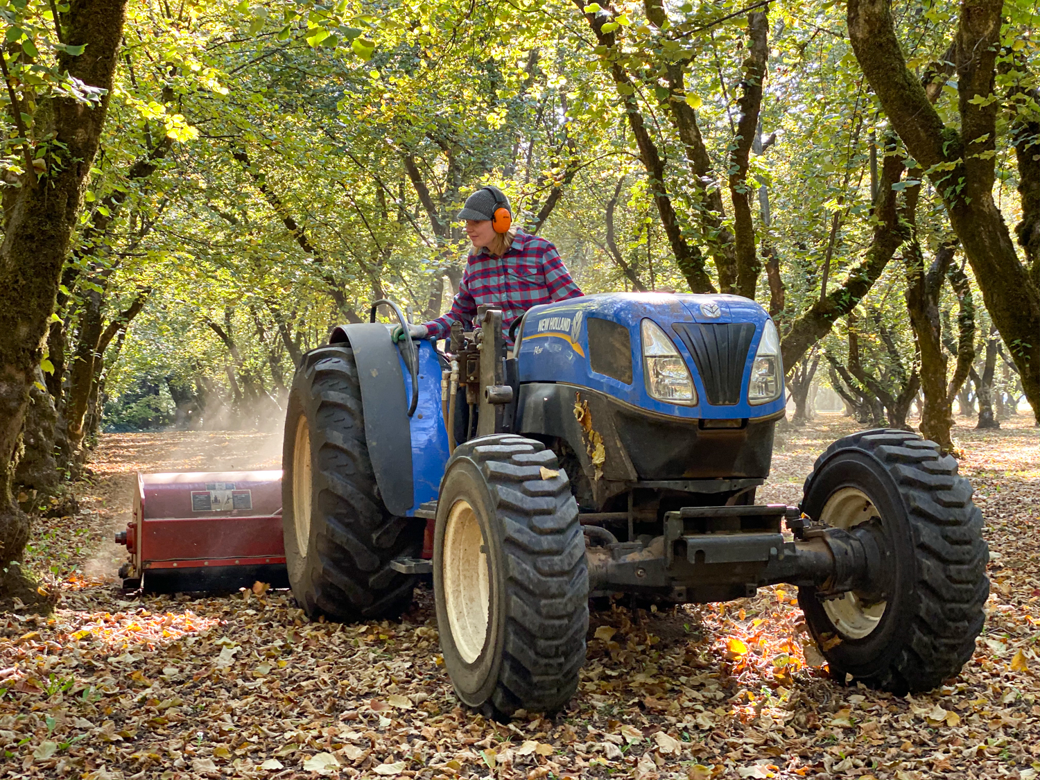 Raina Wickstrom Hazelnut Farmer Steenson Family Farm – Culinary Treasure Podcast Episode 69 by Steven Shomler