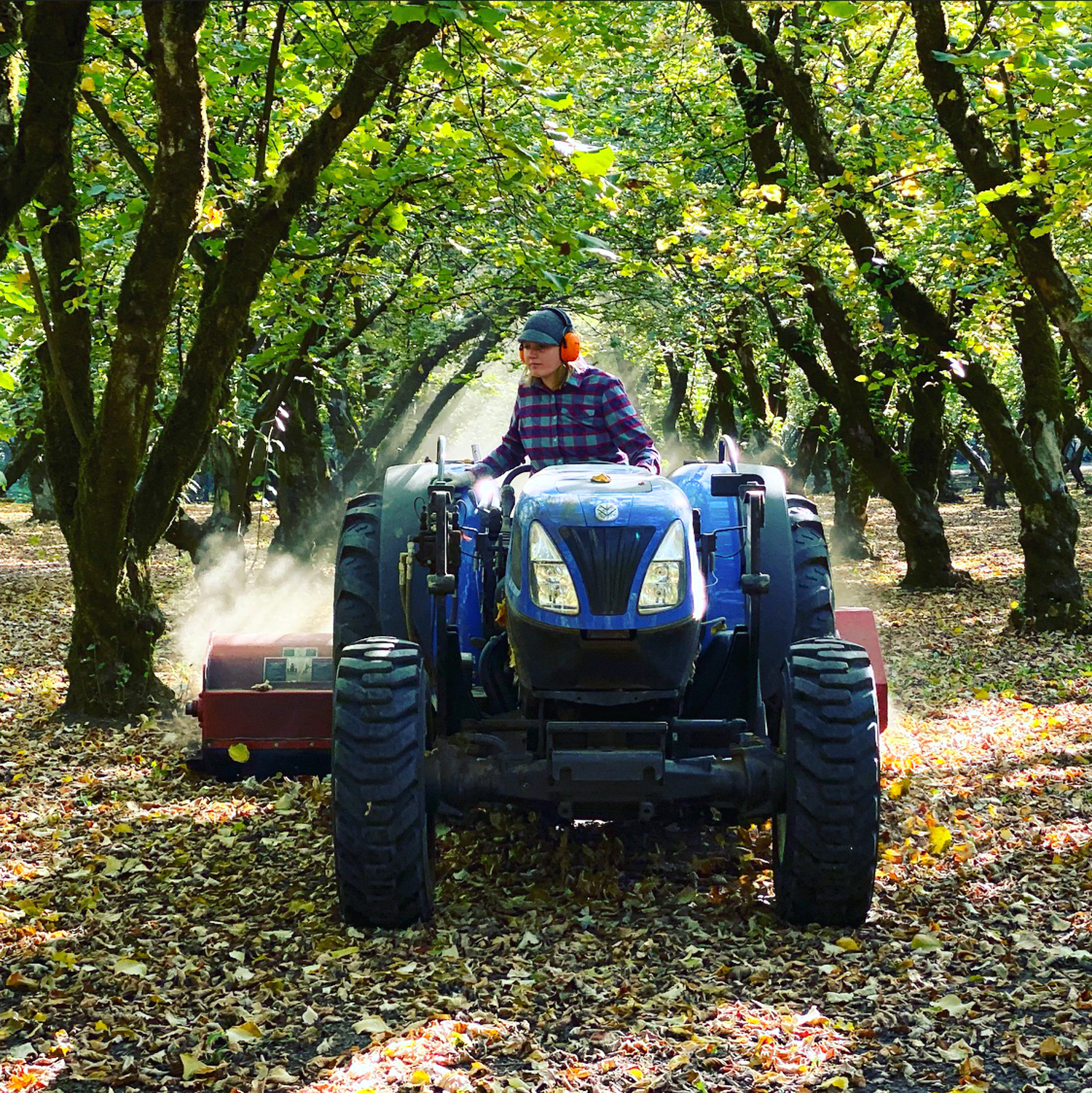 Raina Wickstrom Hazelnut Farmer Steenson Family Farm – Culinary Treasure Podcast Episode 69 by Steven Shomler