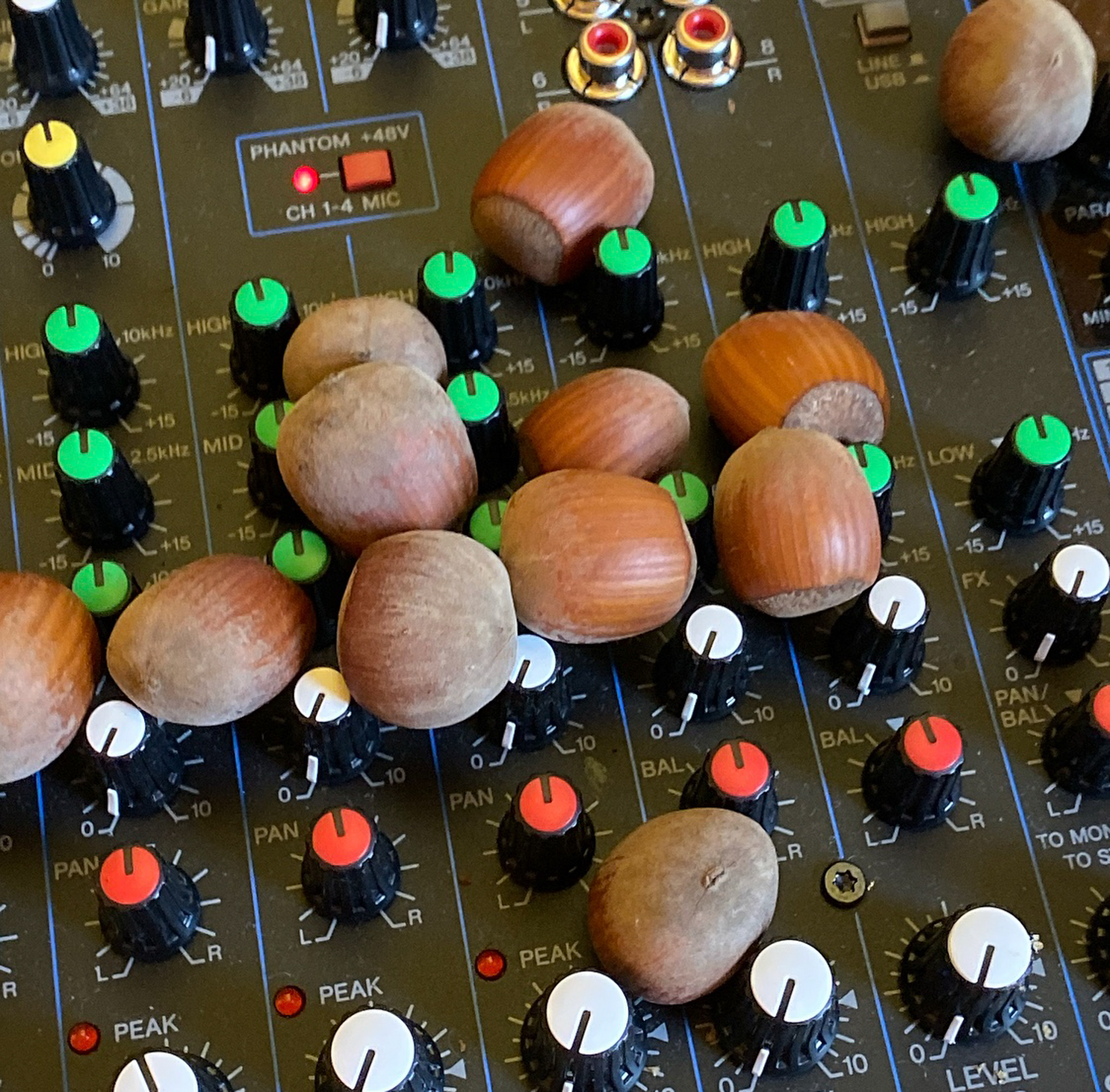 Raina Wickstrom Hazelnut Farmer Steenson Family Farm – Culinary Treasure Podcast Episode 69 by Steven Shomler
