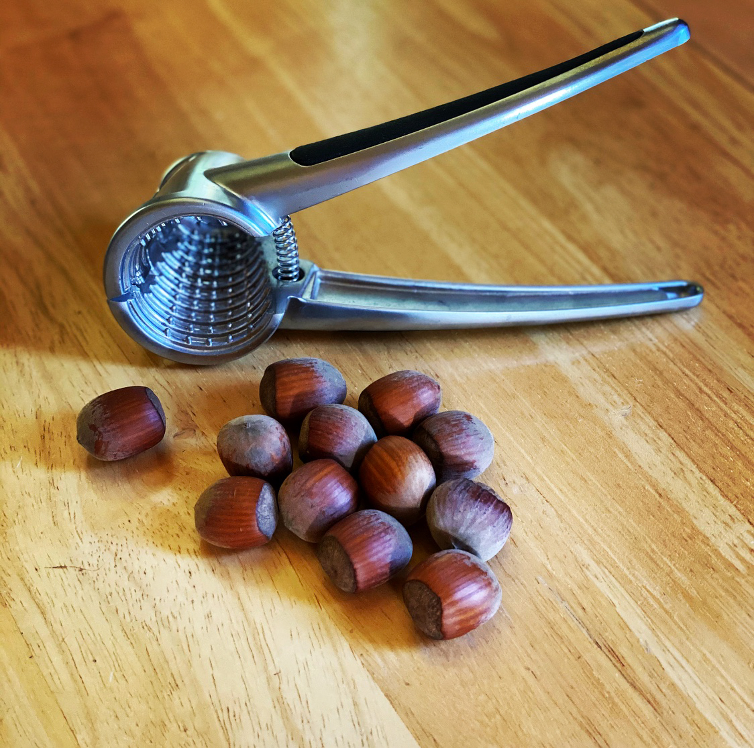 Raina Wickstrom Hazelnut Farmer Steenson Family Farm – Culinary Treasure Podcast Episode 69 by Steven Shomler