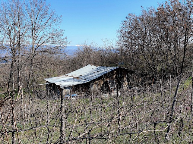 Anna Sakalaki Winemaker Sakalaki Winery Plagia Kilkis Greece – Culinary Treasure Podcast Episode 71 by Steven Shomler 