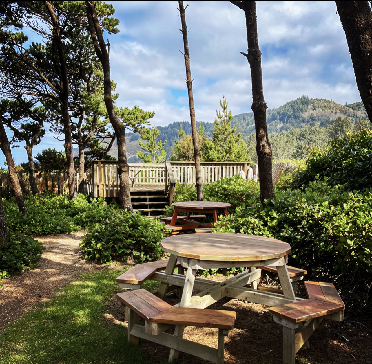 Dick Cutler & Danielle Cutler Flying Dutchman Winery – Culinary Treasure Podcast Episode 79 by Steven Shomler 