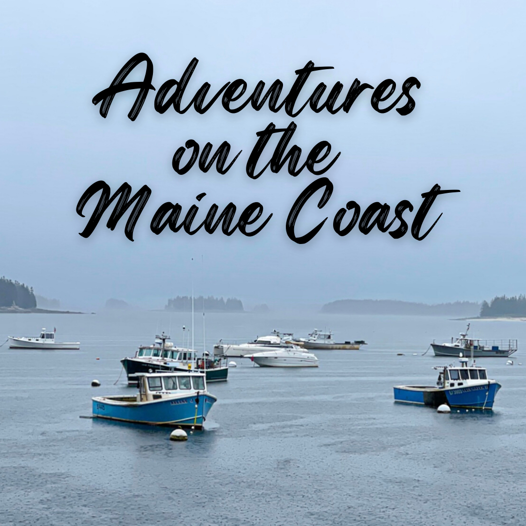 Adventures On the Maine Coast 