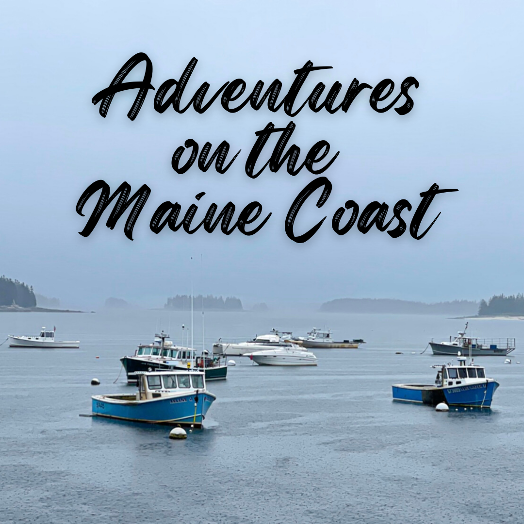 Adventures on the Maine Coast