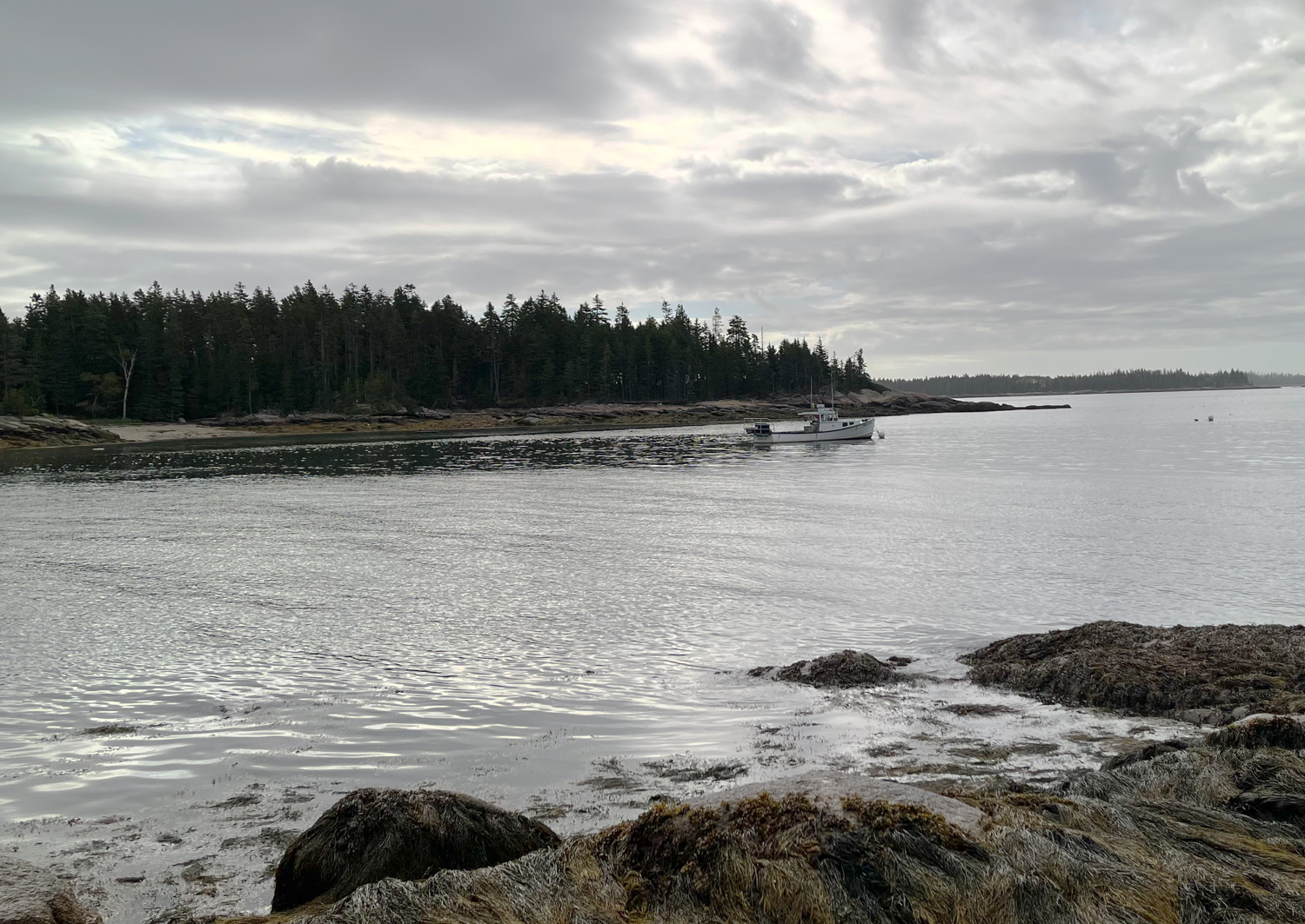Aragosta on Deer Isle Maine