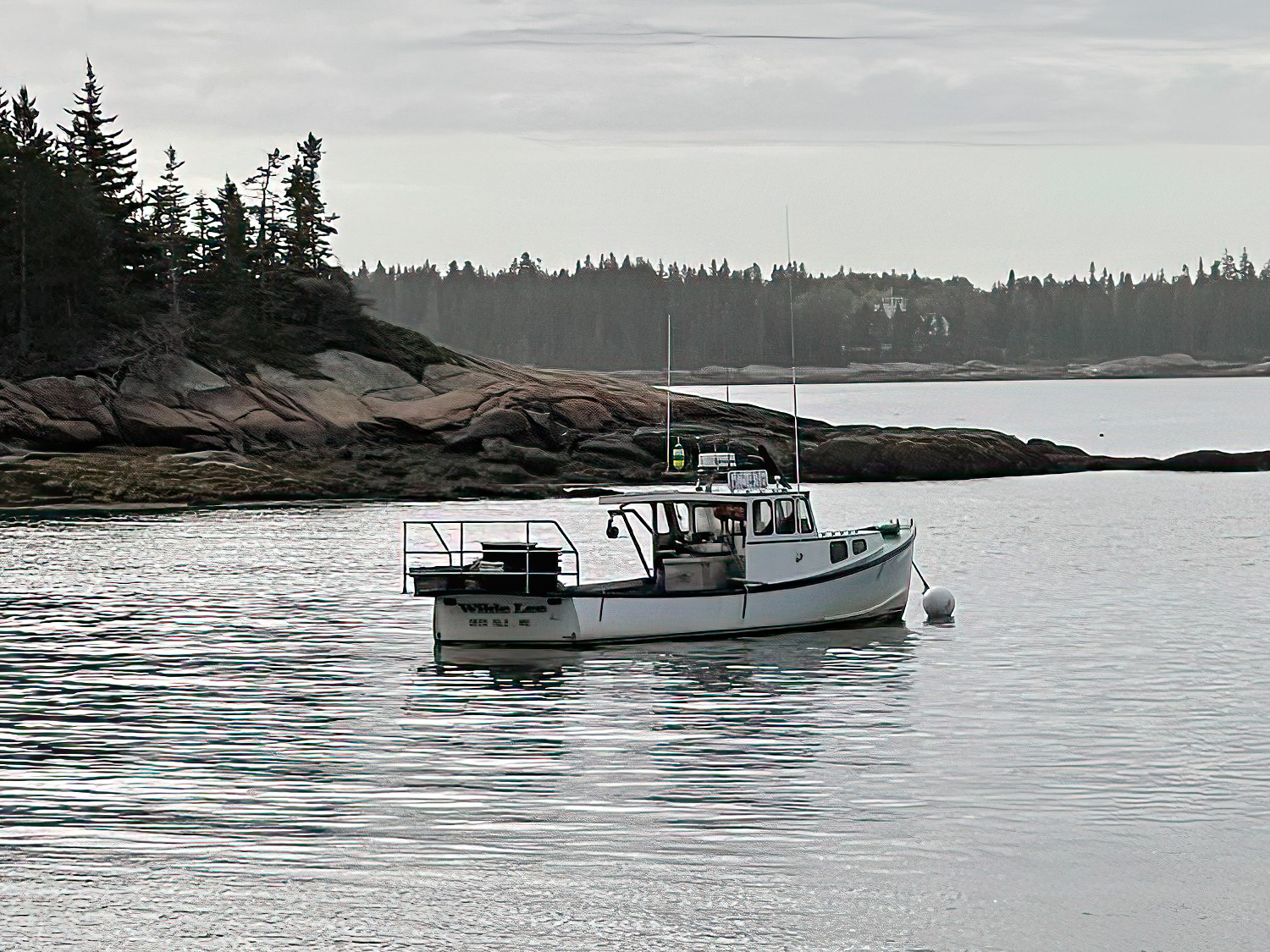 Aragosta on Deer Isle Maine