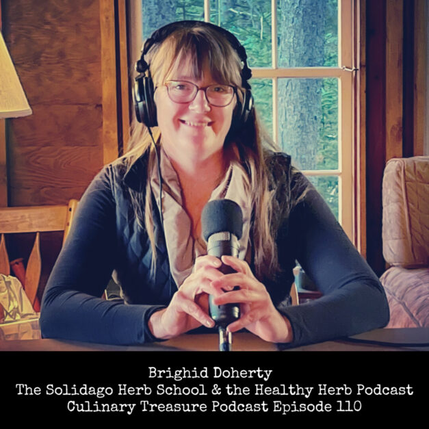 Brighid Doherty Founder of The Solidago School of Herbalism and Host of the Healthy Herb Podcast Deer Isle, Maine ~ Culinary Treasure Podcast Episode 110