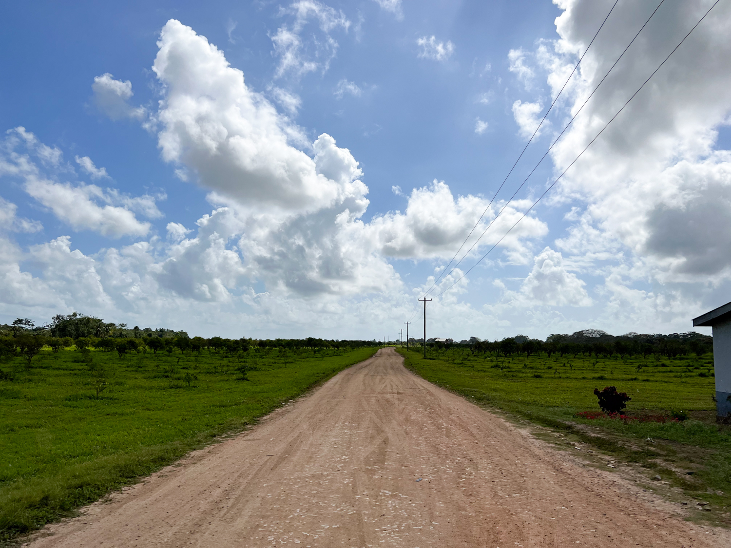Marie Sharp's Stann Creek Belize